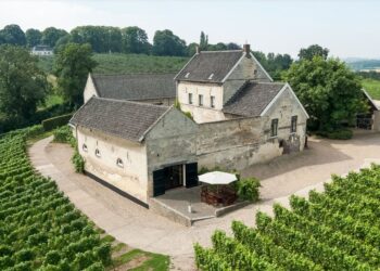 De 8 mooiste wijngaarden in Nederland