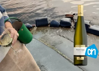 Mastri Vernacoli Pinot Grigio